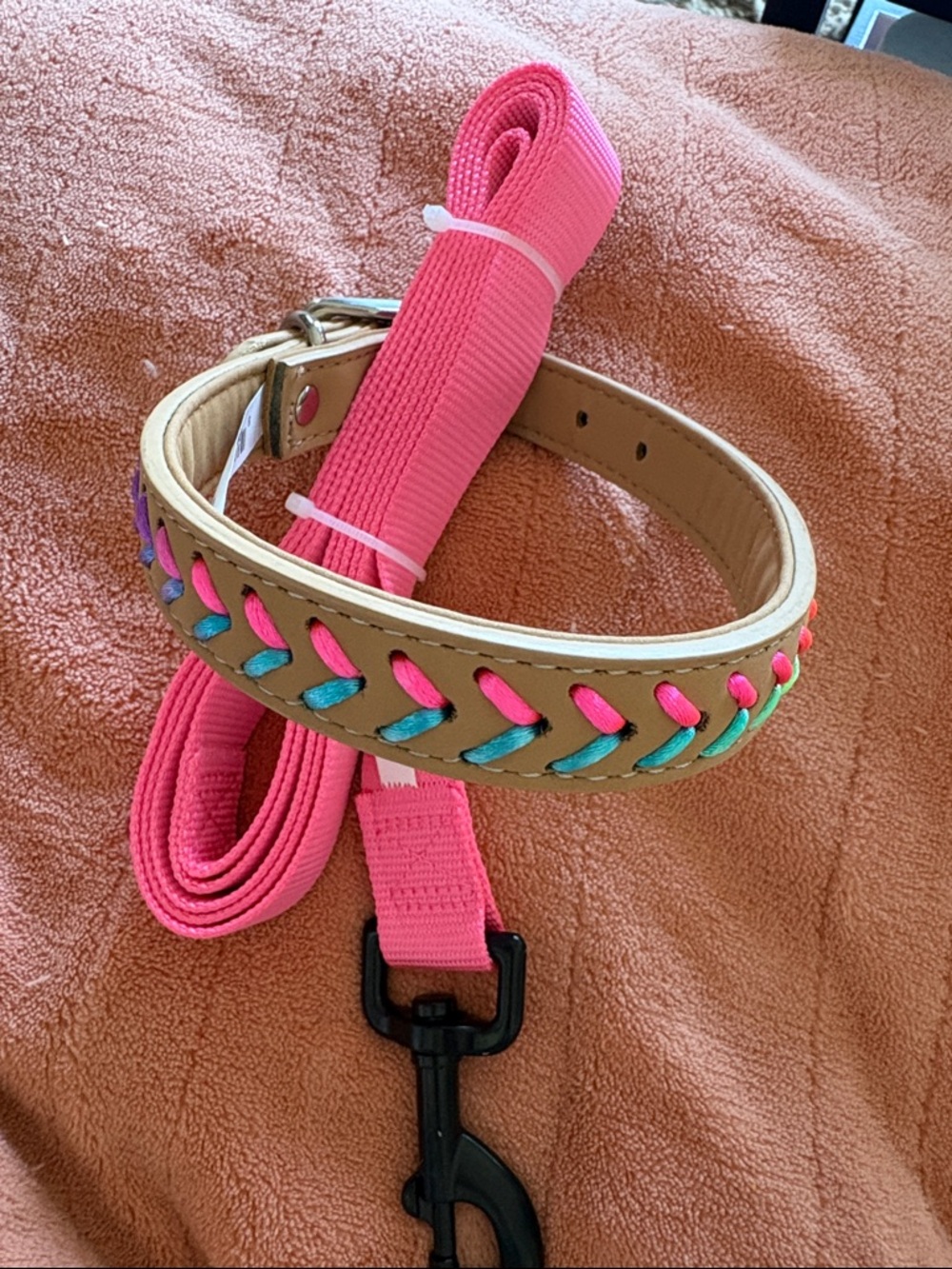 Vibrant Life Pink Braided Accent Dog Collar and Leash Set Medium Size Dog